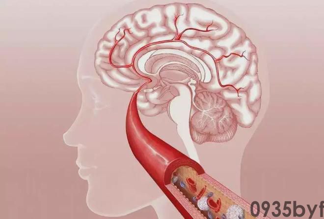 奇异的一味药除百病的神药——松针(图3) 奇异的一味药除百病的神药——松针(图3)