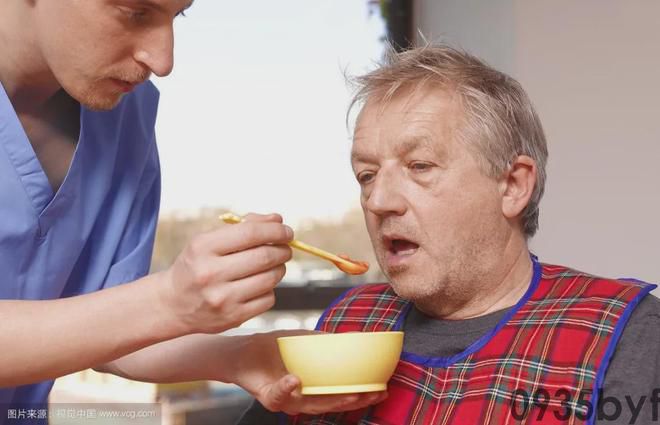 奇异的一味药除百病的神药——松针(图6) 奇异的一味药除百病的神药——松针(图6)