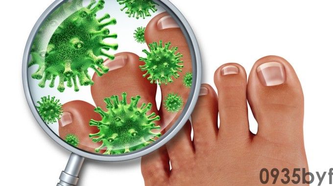 脚指最新资讯快科技