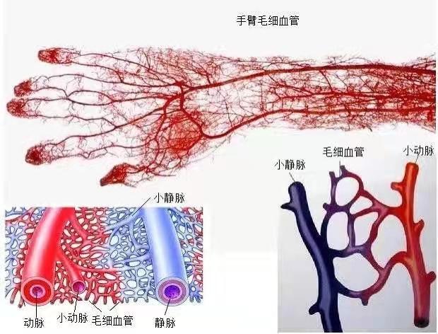 足部微循环不畅脱皮改善(图1) 足部微循环不畅脱皮改善
