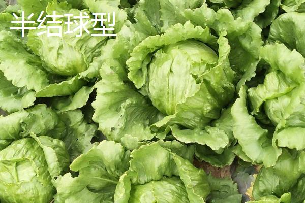 【健康问答】关于脚气传染性的常见疑问