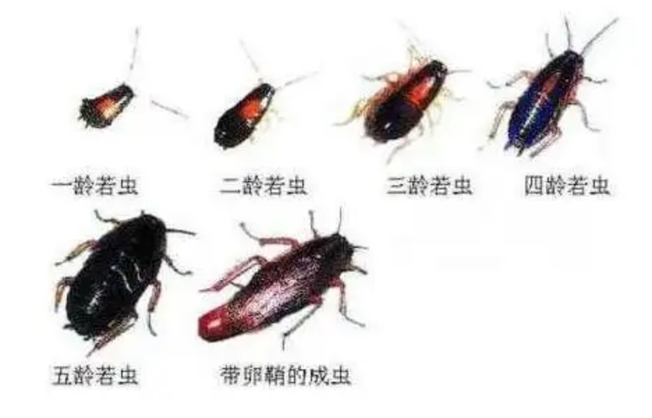 糜烂型脚气破损面无菌护理(图1) 糜烂型脚气破损面无菌护理
