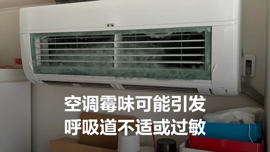 脚部异味空调房闷捂积味(图1) 脚部异味空调房闷捂积味