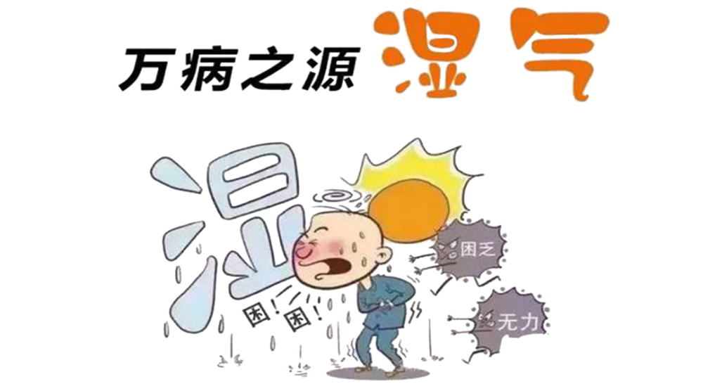 湿气重红斑治疗方案(图1) 湿气重红斑治疗方案