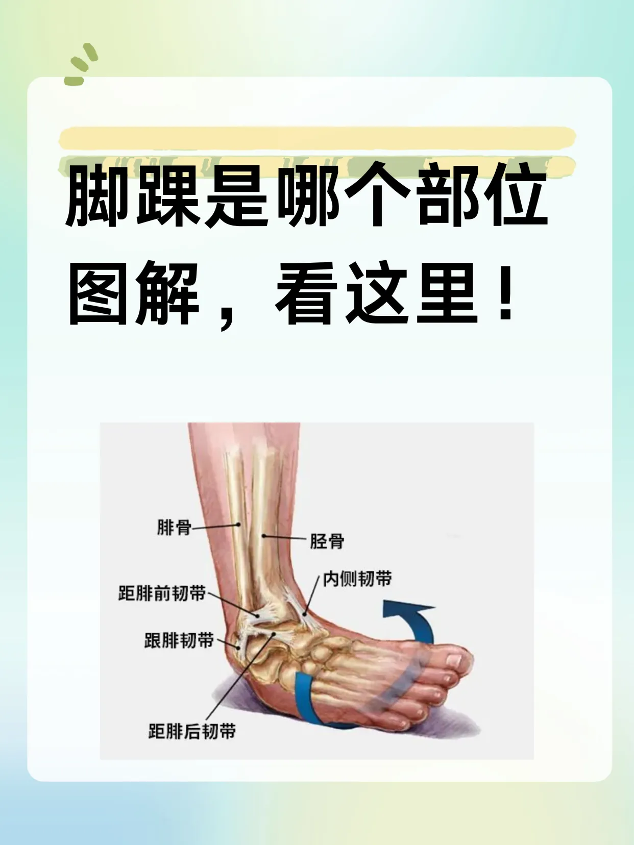 脚踝糜烂快速恢复方案(图1) 脚踝糜烂快速恢复方案