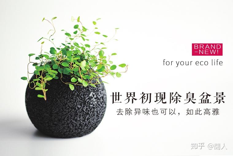 如何利用天然植物除臭包(图1) 如何利用天然植物除臭包