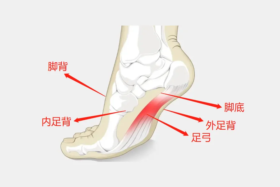 脚部水疱皮下毛细血管渗透(图1) 脚部水疱皮下毛细血管渗透