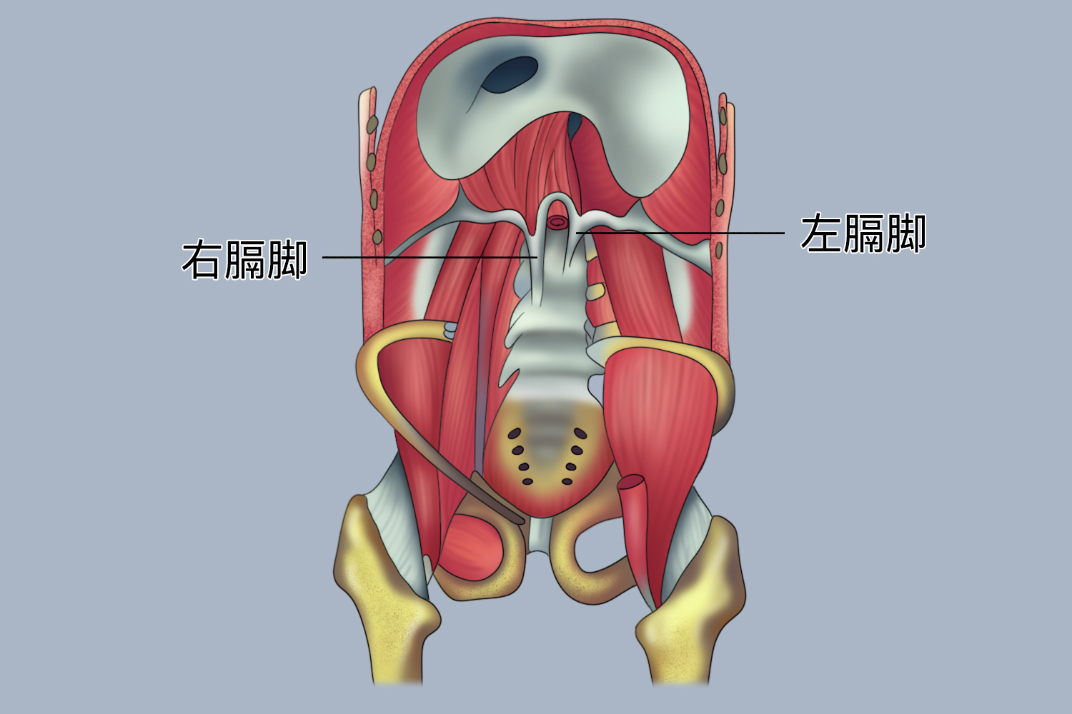 脚部水疱湿疹急性发作爆泡(图1) 脚部水疱湿疹急性发作爆泡